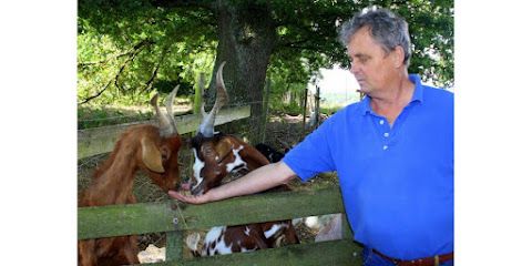 Activité : Ferme Monsieur Seguin