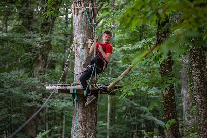 Activité : Lugny Acro - Parcours d'aventure en Bourgogne à 15 minutes de Mâcon