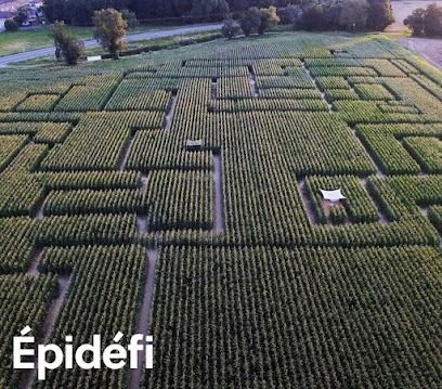 Photo : EPIDEFI