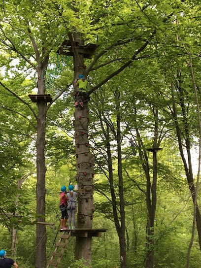 Activité : Parc Accrobranche Picardie