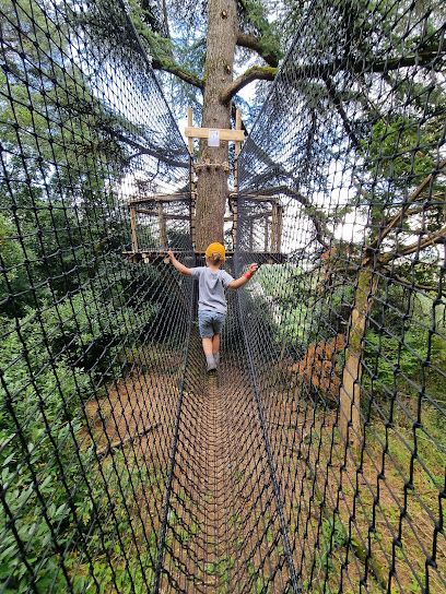 Activité : Parc Baron