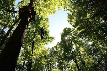 Activité : Fontdouce - Parc Aventure et Team Building