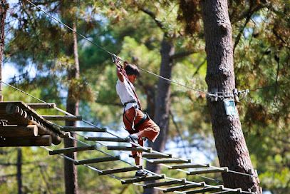 Activité : Parc Accrobranche La Palmyre