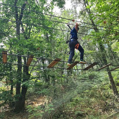 Activité : La Forêt des Écureuils