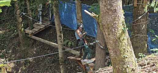 Activité : La Liane De Rose Parc aventure Espalion