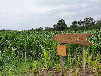 Activité : Lanès Aventures