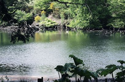 Activité : Parc Animalier Saint Martin Montaigu La Brisette