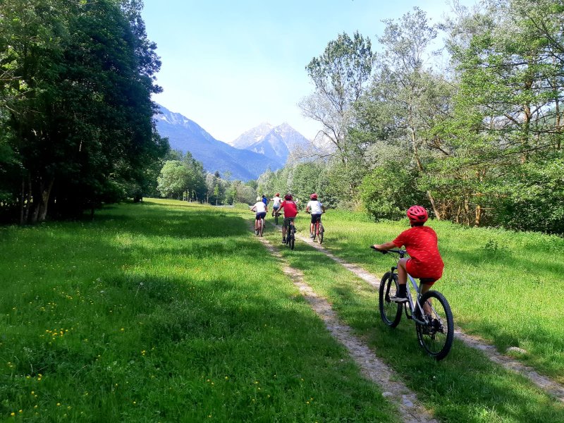Activité : VTT/VTTAE/trottinette de descente