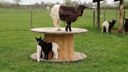 Activité : Ferme pédagogique de Craintilleux
