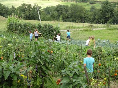 Activité : La Ferme au Son des Cloches