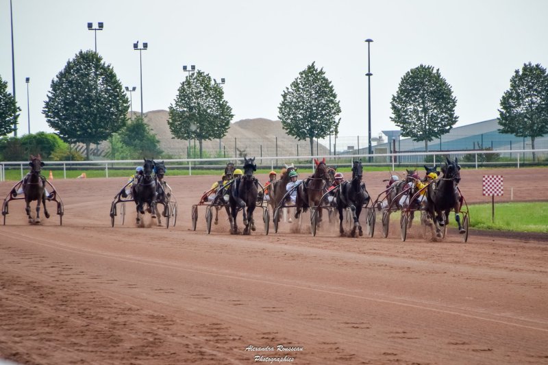 Activité : COURSES DE CHEVAUX ET ANIMATIONS ENFANTS