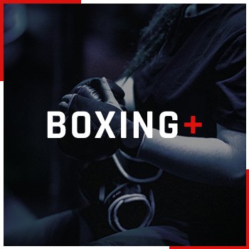 Activité : BOXING +