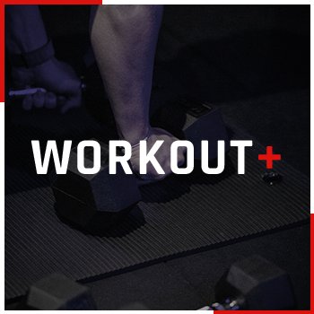 Activité : WORKOUT +