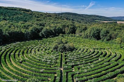 Activité : Labyrinthe Géant des Monts de Guéret - ENTREPRISE FRÉRY