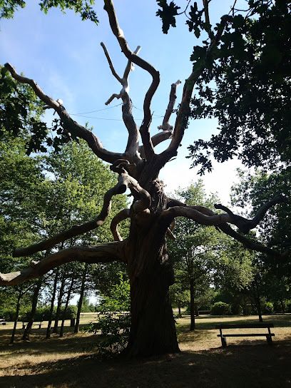 Activité : Parc des Châtaigniers