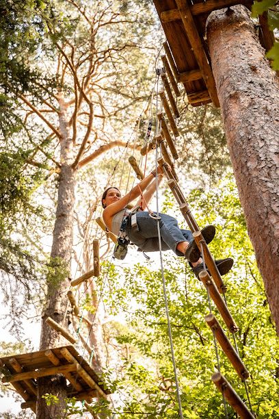 Activité : Parc Écureuil