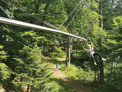 Photo : Tyrolienne à virages du Mont-Dore