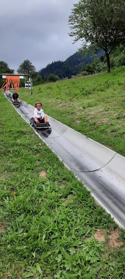 Photo : Piste de luge d'été du Mont-Dore