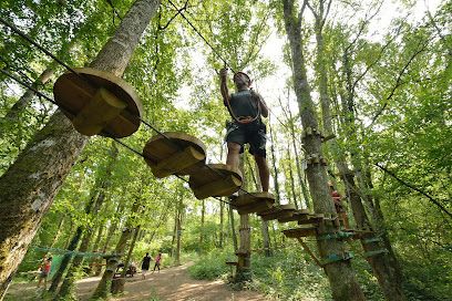 Activité : Parcours Accrobranche - Accro'Lathus