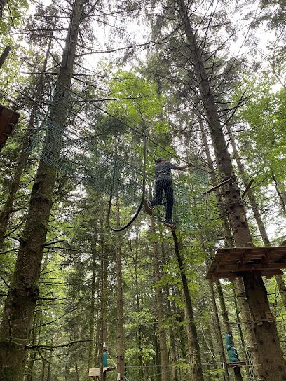 Activité : Parc aventure de Chabrières