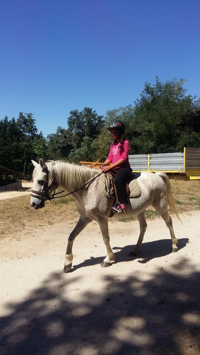 Photo : Centre Cheval Poney