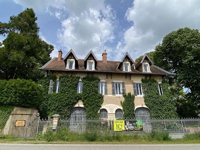 Activité : Escape Games PEUR SUR LA VIGNE