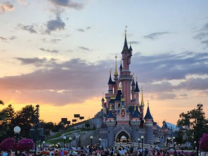 Activité : Parc Disneyland