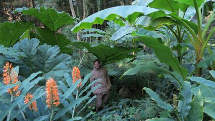 Activité : Jardin jungle