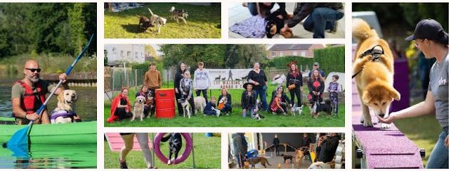 Photo : The Walking Dog Centre de Loisirs Canin