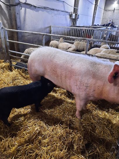 Activité : La ferme noisette au beau thym