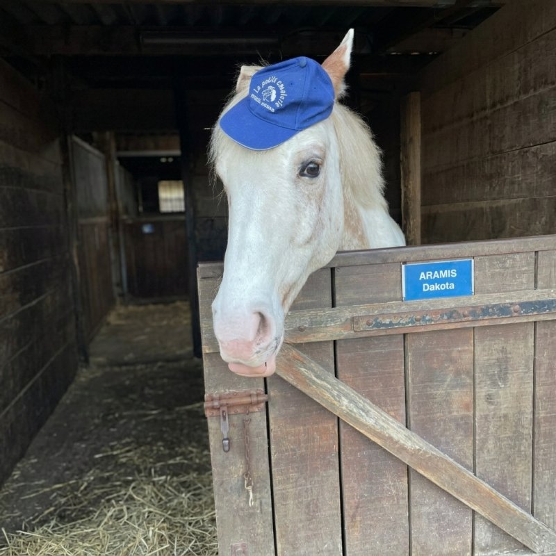 Photo : Poney-club