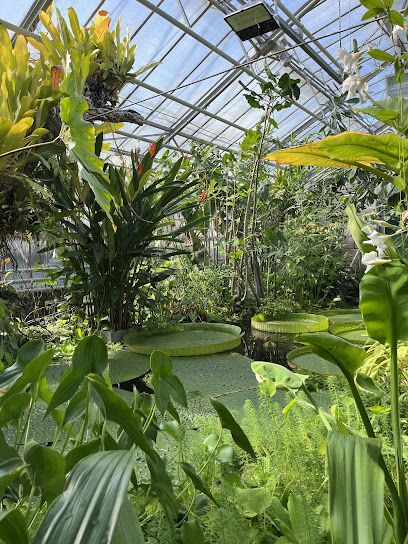 Activité : Jardin Botanique Jean-Marie Pelt