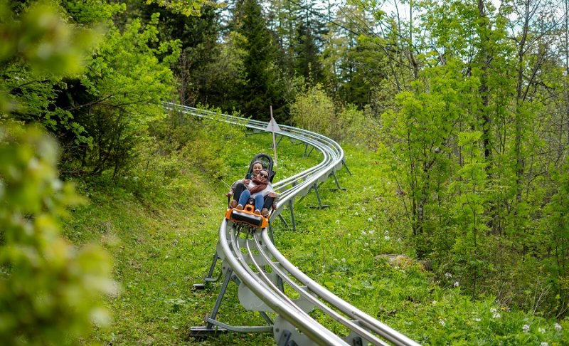Activité : Luge sur rails