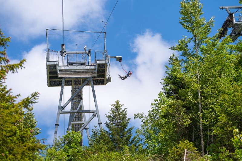 Activité : Saut dans le vide