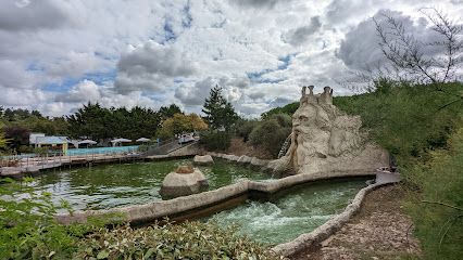 Activité : Le raft