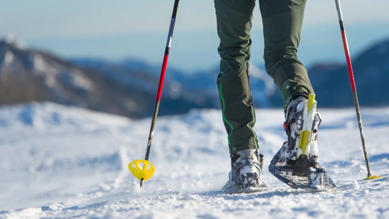 Activité : Balade en raquettes