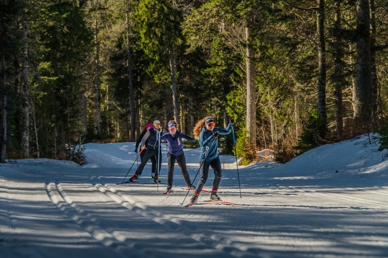 Activité : Ski de fond
