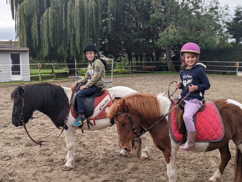 Photo : Découverte du poney
