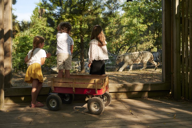 Photo : Visite du Zoo de Bordeaux Pessac