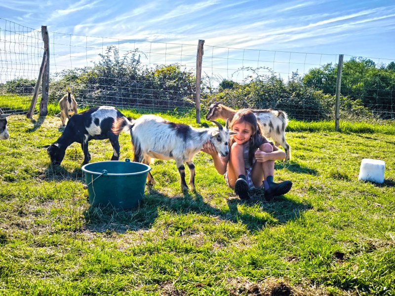 Activité : Parc animalier des portes du Périgord