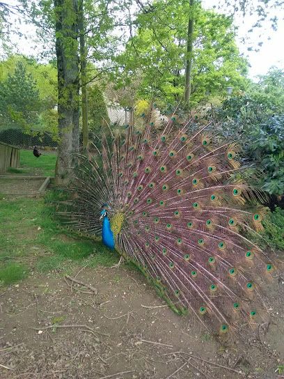 Activité : Parc du Patis