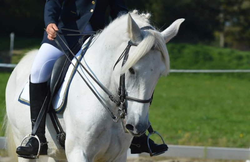 Photo : Cours d'équitation