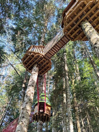 Activité : Le Pays Suspendu des Géants : filets suspendus dans les arbres