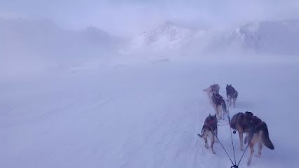 Photo : Les traineaux de la vallée des ours