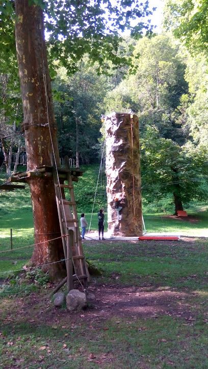 Activité : Acro'Lus