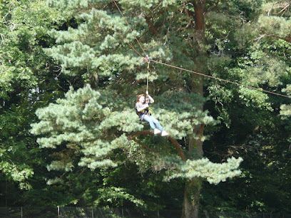 Activité : Arbosphere - Grimpe d'arbres, découverte de l'environnement arboré, activités perchées