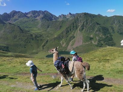 Activité : Les Lamas des 7 vallées