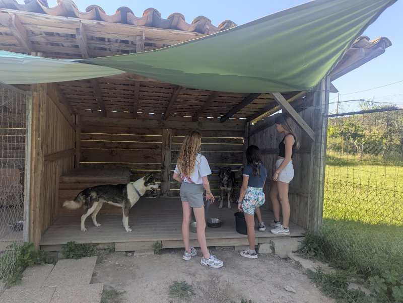 Activité : Visite de chenil pédagogique