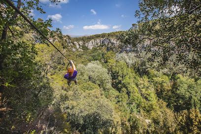 Activité : Canyon Forest