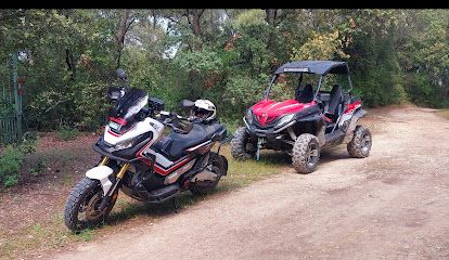 Activité : Buggy ssv trott 34